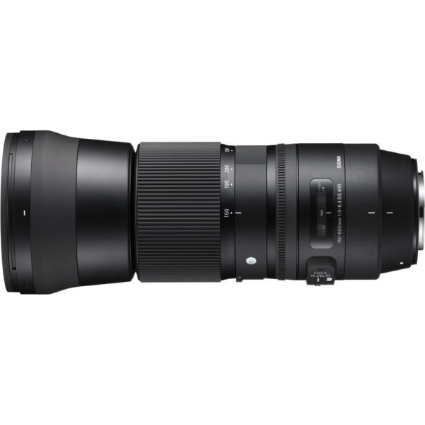 Lente Sigma 150-600mm Contemporary f/5-6.3 DG OS HSM montagem Canon EF - Imagem 4